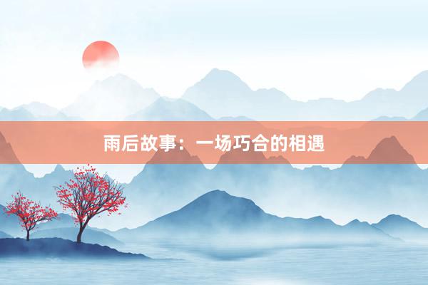 雨后故事:一场巧合的相遇