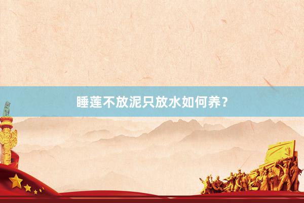 睡莲不放泥只放水如何养？