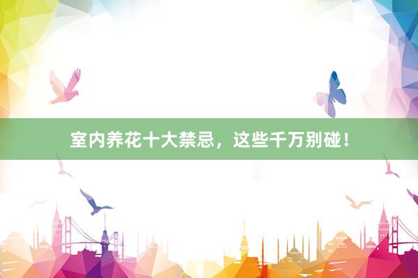 室内养花十大禁忌，这些千万别碰！