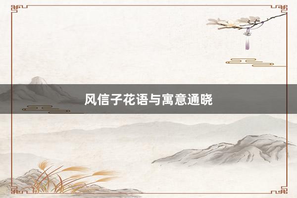 风信子花语与寓意通晓