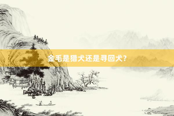 金毛是猎犬还是寻回犬？