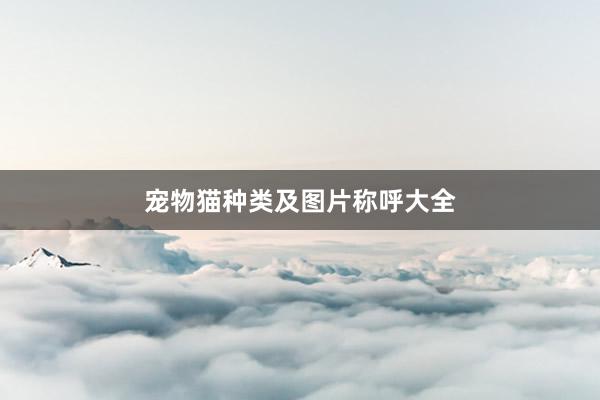 宠物猫种类及图片称呼大全